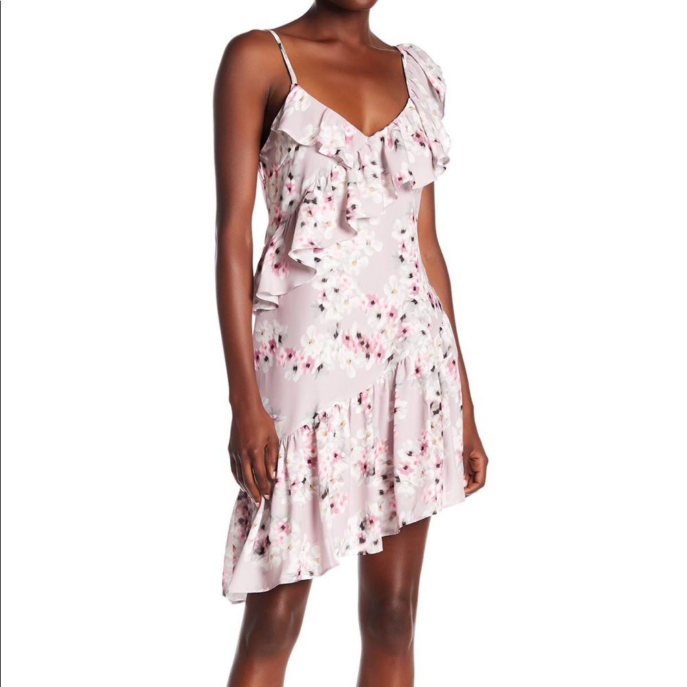 Parker Pink Ruffle Detailed Dress